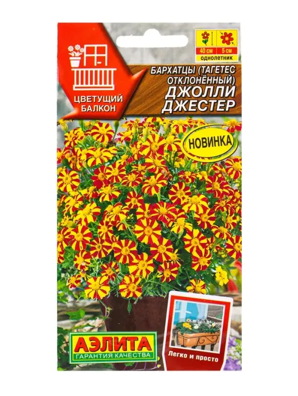 Семена цветов Бархатцы Джолли Джестер отклоненные  Цветущий балкон, Ц/П,0,1 г