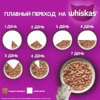 Влажный корм Whiskas Meaty для кошек, кролик, 75 г