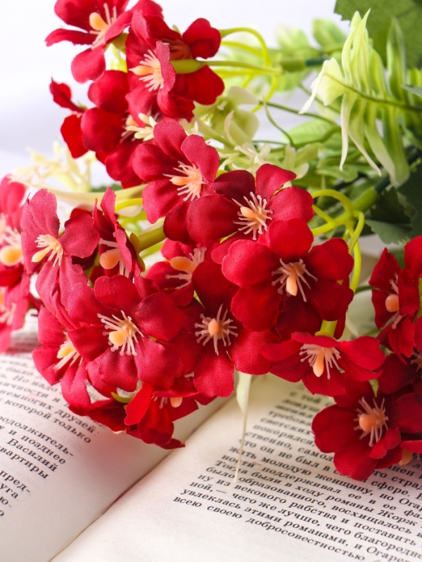 Букет "Пеларгония махровая" 29 см, микс