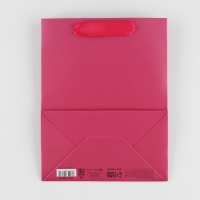 Пакет подарочный ламинированный, упаковка, &laquo;Фуксия&raquo;, MS 18 х 23 х 10 см