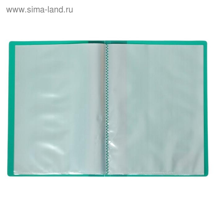 Набор папок А5, 20 вкладышей, Calligrata, карман на корешке, зеленые, 3 штуки