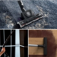 Пылесос с контейнером Extreme Cyclonic Effitech TW7C89EA