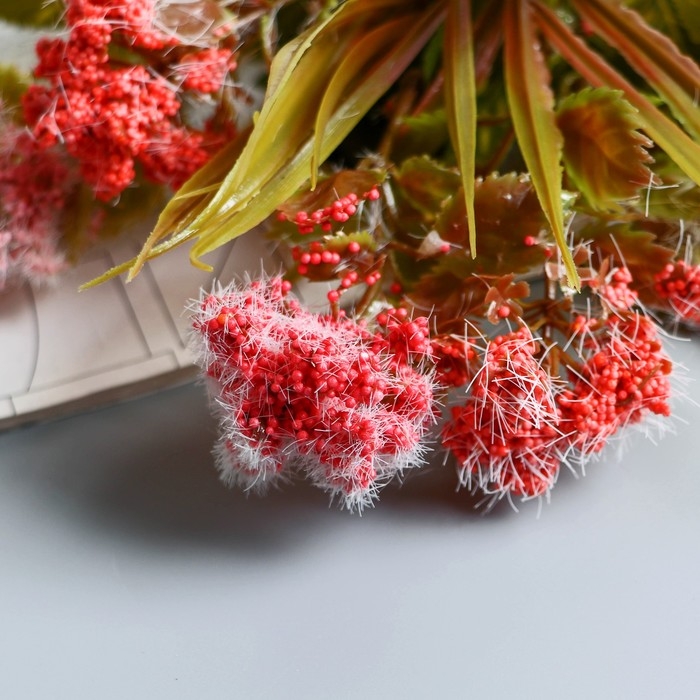 Букет Букет "Пушица гомфрен" 30 см, микс