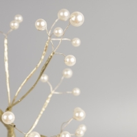 Светодиодный куст &laquo;Жемчужины золотистые&raquo; 45 см, 36 LED, постоянное свечение, батарейки ААх3 (не в комплекте), USB, свечение тёплое белое