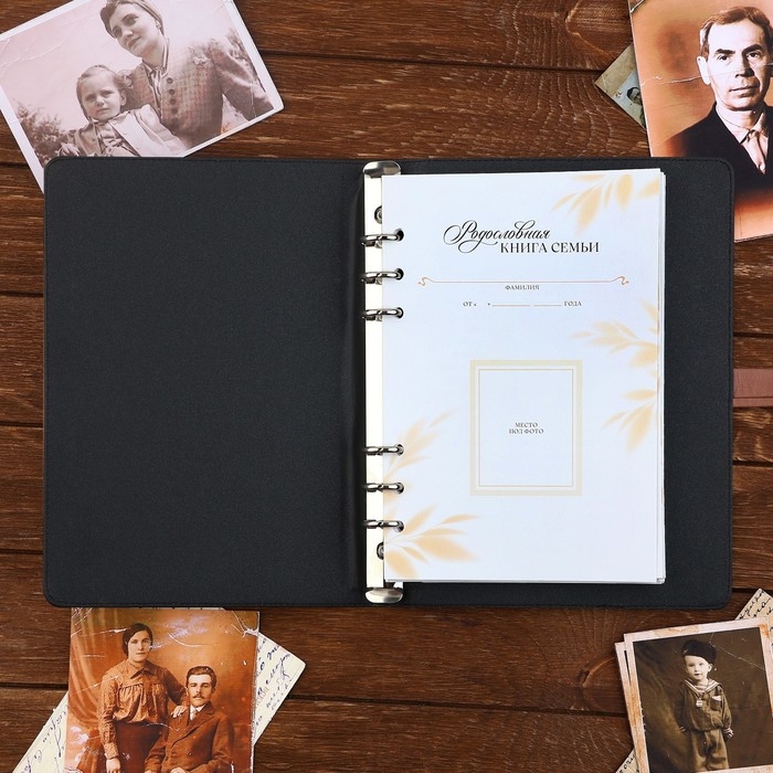 Родословная книга со встроенной флешкой 16 Gb &laquo;Семейная летопись&raquo;, 17,5 х 23 см..