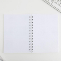 Ежедневник, зарядное устройство, мод. РВ-06, &laquo;Ты прекрасна&raquo;, 22,7 х 24,5 см.