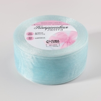 Лента капроновая, 40 мм, 20 &plusmn; 1 м, цвет светло-голубой №13