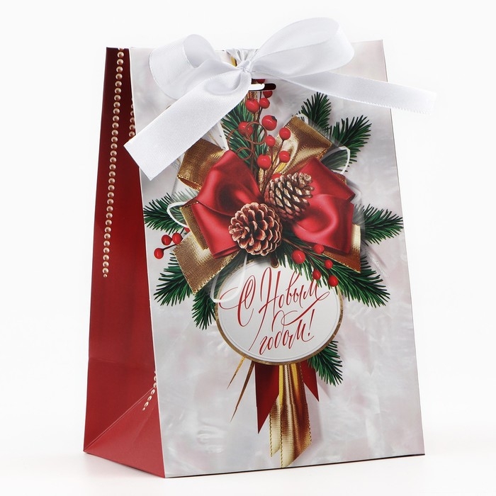 Пакет подарочный новогодний с лентой &laquo;Новый год&raquo;, 13 х 19 х 9 см , Новый год
