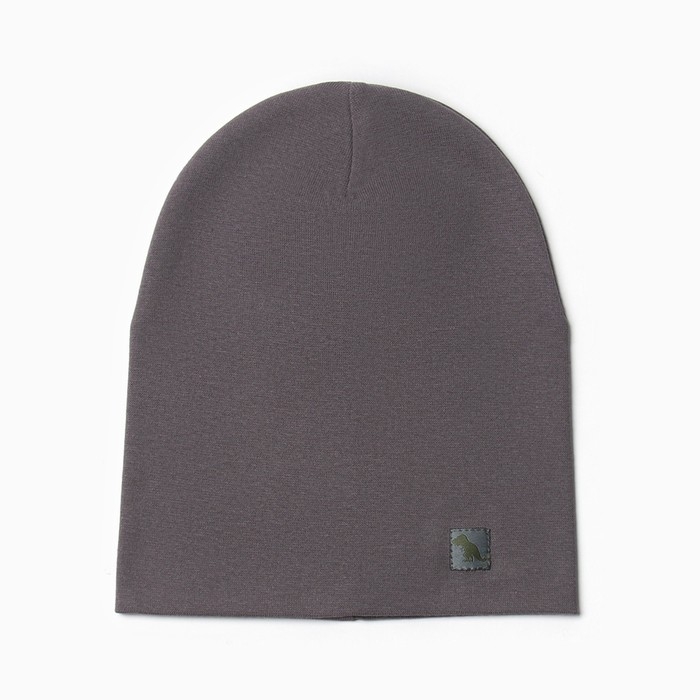 Шапка для мальчика, цвет тёмно-серый, размер 50-54 Шапка для мальчика, цвет тёмно-серый, размер 50-54