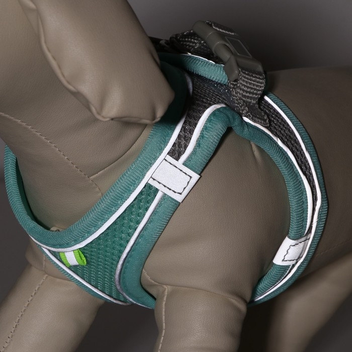 Комплект с мягкой шлейкой, быстросъемный, XS, поводок 150 х1,5 см, ОШ 29-32 ОГ 31-34 см, бирюзовый