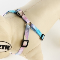 Комплект «Моя радость», шлейка 24-36 см, поводок 120х1 см Комплект «Моя радость», шлейка 24-36 см, поводок 120х1 см