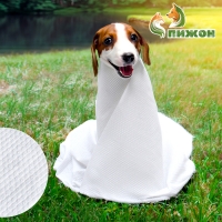 Полотенце для животных впитывающее, 60 х 80 см, 70 г/м² , одноразовое Полотенце для животных впитывающее, 60 х 80 см, 70 г/м² , одноразовое