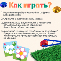 Развивающий набор &laquo;Цветная роса&raquo;, камешки марблс, по методике Монтессори