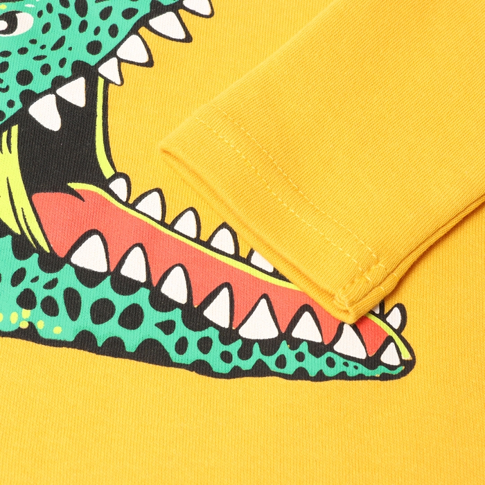 Лонгслив для мальчика, цвет тёмно-жёлтый, рост 98 см Лонгслив для мальчика, цвет тёмно-жёлтый, рост 98 см