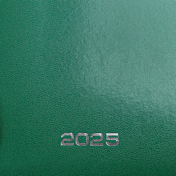 Ежедневник датированный 2024 года, А5, 176 листов, Attomex.Orion, обложка бумвинил, ляссе, блок 70 г/м2, зелёный