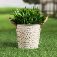 Кашпо "Ведерко чешуя" МИКС, 13х13х12см Кашпо "Ведерко чешуя" МИКС, 13х13х12см