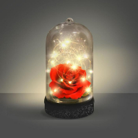 Набор для творчества «Ночник своими руками. Вечная роза» Набор для творчества «Ночник своими руками. Вечная роза»