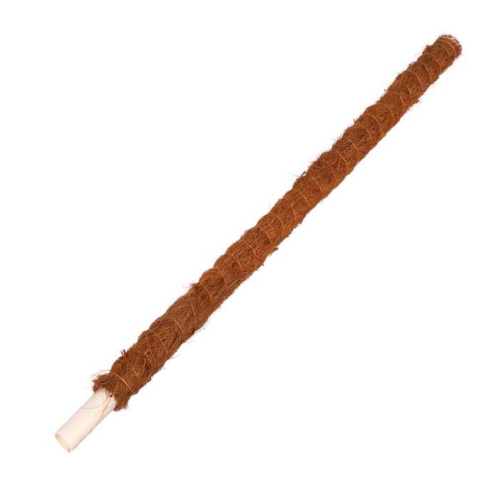 Опора для подвязки растений, h = 60 см, d = 2,5 см, кокосовая, Greengo Опора для подвязки растений, h = 60 см, d = 2,5 см, кокосовая, Greengo