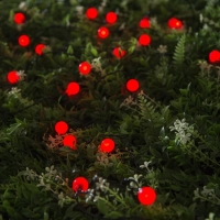 Гирлянда &laquo;Нить&raquo; 4.5 м с насадками &laquo;Шарики&raquo;, IP44, тёмная нить, 30 LED, свечение красное, 2 режима, солнечная батарея