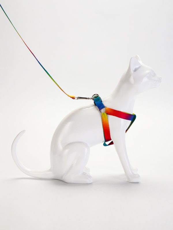 Комплект "Радуга", капрон, поводок 120 х 1,5 см, ОГ 24-34 см, разноцветный