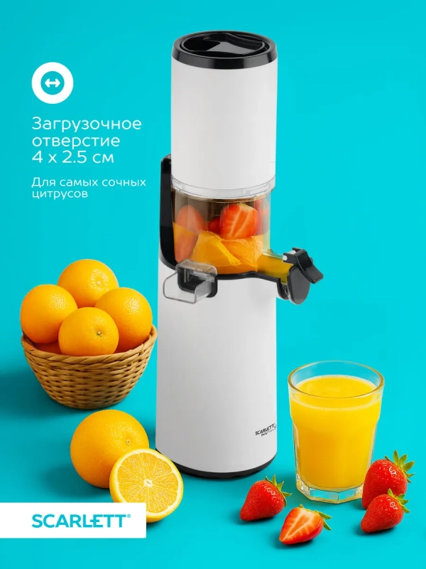 Соковыжималка электрическая шнековая SC-JE50S59