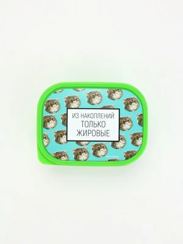 Ланч-бокс &laquo;Накопления&raquo;, 500 мл