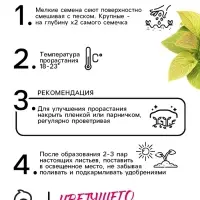 Семена цветов Колеус Визард Голден, 10шт