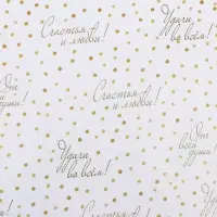 Бумага упаковочная глянцевая &laquo;Пожелания&raquo;, двусторонняя, 40&times;60 м