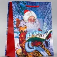 Пакет подарочный новогодний ламинированный, &laquo;Дед мороз&raquo; , 18&times;10&times;22.3 см