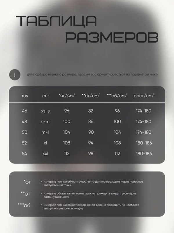 Лонгслив мужской Resport, на молнии, р. 46, цвет чёрный, базовый, с длинным рукавом