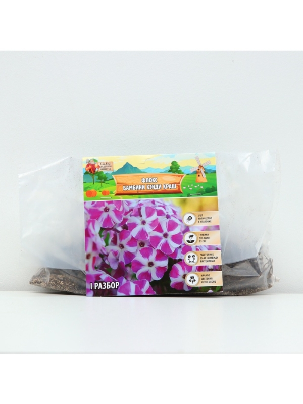 Флокс &laquo;Бамбини Кэнди Краш&raquo; ркорневище в пакете с торфогрунтом, -р I, 2 шт.