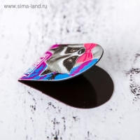 Закладки магнитные для книг, 6 шт &laquo;Енот&raquo;, 6 шт