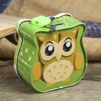 Копилка для денег с замком и ключом &laquo;Маленький совёныш&raquo;, метал, 8.5&times;9&times;4.5 см, МИКС