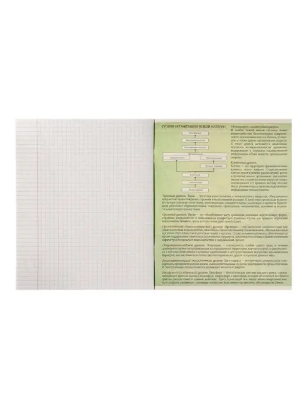 Тетрадь предметная 48 листов в клетку Calligrata, &laquo;Металл. Биология&raquo;, обложка мелованный картон, серые листы