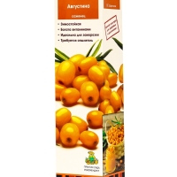 Облепиха "Августина", туба, 1 шт, Весна 2025