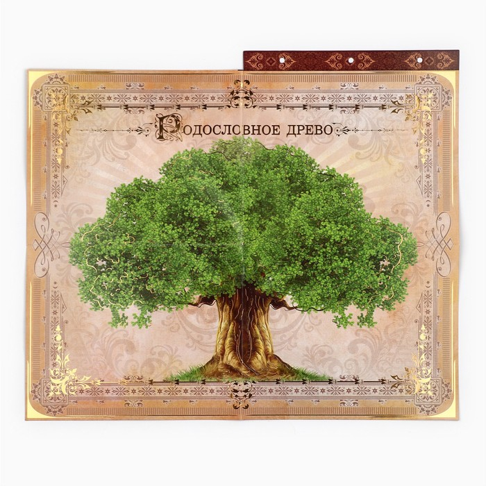 Родословная книга с рамкой под фото &laquo;Родословная книга&raquo;, под дерево, 50 листов, 21,5 х 23,7 см.