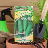 Семена огурца "Бабайка", F1, 10 шт.