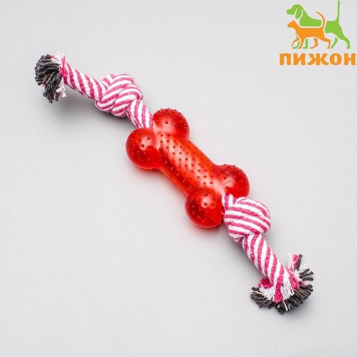 Игрушка канатная с косточкой, до 90 г, до 26 см, микс цветов Игрушка канатная с косточкой, до 90 г, до 26 см, микс цветов