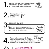 Семена цветов Обриета "Кемпбелл", ц/п,  крупноцветковая, 0,05 г