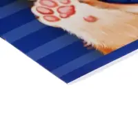 Альбом для рисования А4, Calligrata, 8 листов на скрепке, МИКС