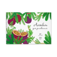 Альбом для рисования А4, 30 листов на спирали, ErichKrause Juicy Fruits, блок 120 г/м², 100% белизна, перфорация для отрыва, твёрдая подложка Альбом для рисования А4, 30 листов на спирали, ErichKrause Juicy Fruits, блок 120 г/м², 100% белизна, перфорация для отрыва, твёрдая подложка