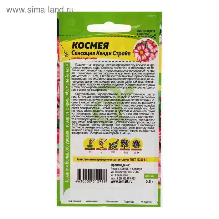 Семена цветов Космея "Сенсация" Кенди Страйп, О, ц/п, 0,5 г