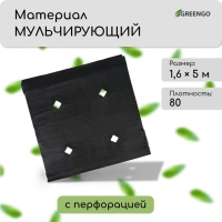 Материал мульчирующий, с перфорацией, 5 &times; 1,6 м, плотность 80 г/м&sup2;, спанбонд с УФ-стабилизатором, чёрный, Greengo, Эконом 30%