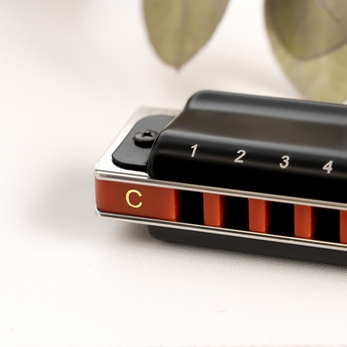 Губная гармошка Music Life T008L  C диатоническая, 10 отверстий, с футляром