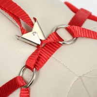 Комплект с мягкой шлейкой и бантиком "Якорь", размер S, поводок 120 x 1,5 см, ОГ 23-42 см, красный Комплект с мягкой шлейкой и бантиком "Якорь", размер S, поводок 120 x 1,5 см, ОГ 23-42 см, красный