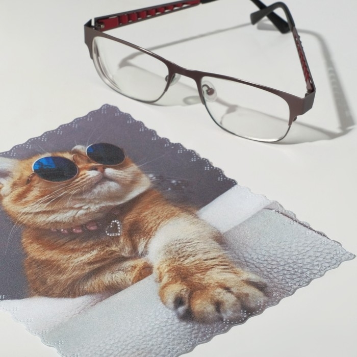 Салфетка для очков TAO9 &laquo;Кот в очках&raquo; 15&times;18 см, цвет бежевый