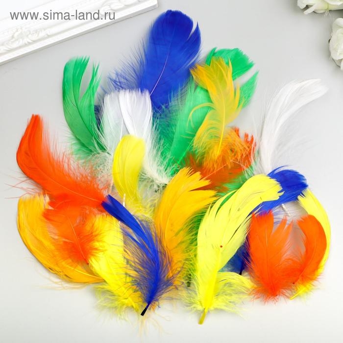 Перья декоративные Перья декоративные "Карнавальные", 5-8 см (набор 24 шт) 6 цветов, яркие, ассорти