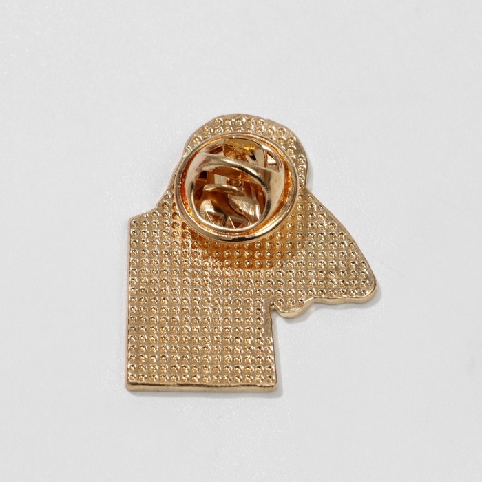 Набор 2 предмета: значок, глиттер &laquo;Корейский стиль&raquo;, цветной, глиттер - цвет МИКС