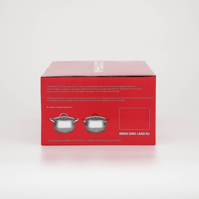 Кастрюля из нержавеющей стали Доляна &laquo;Вернер&raquo;, 3,5 л, d=20 см, с крышкой, индукция