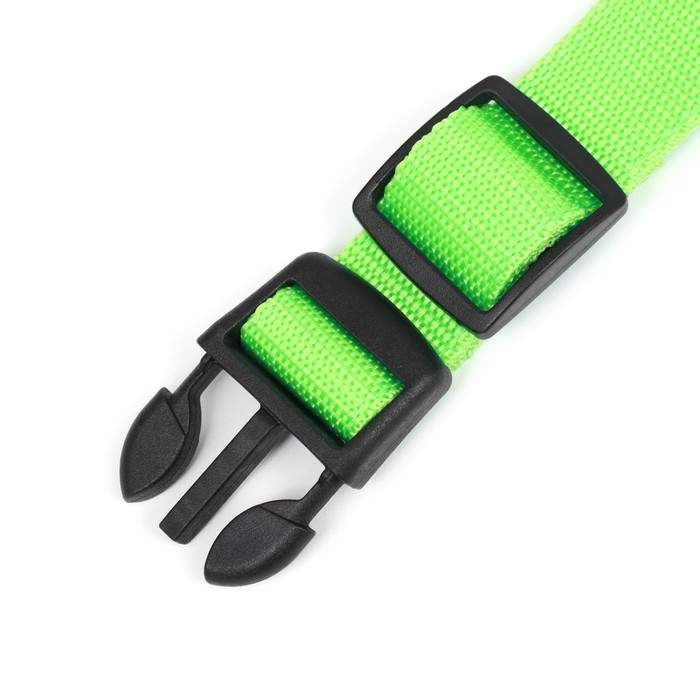 Ошейник с подсветкой Двойная полоса размер S, ОШ 35-43 х 2,5 см, 3 режима свечения зелёный
